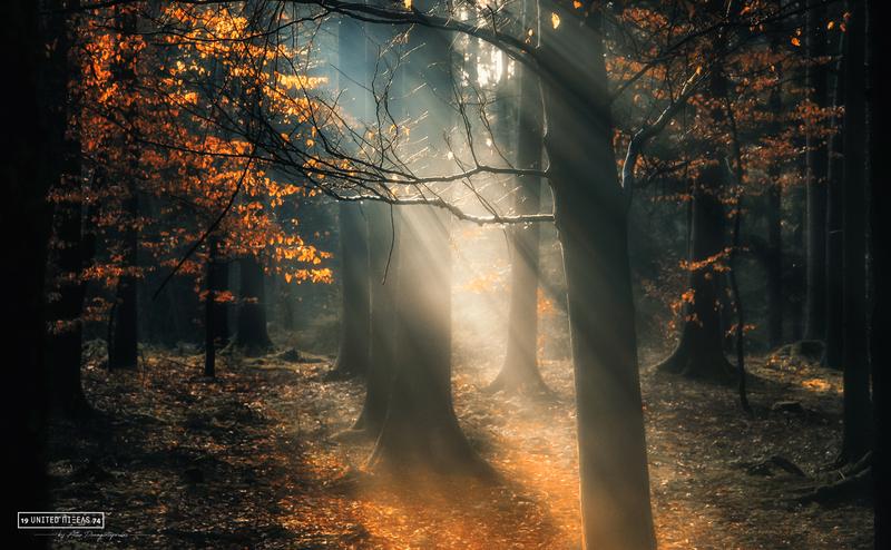 Autumn forest with sunrays — © Athanasios Panagiotopoulos